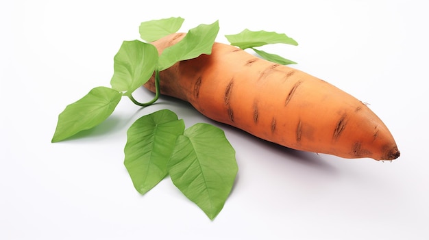 Sweet yam potato with leaves on the white wall