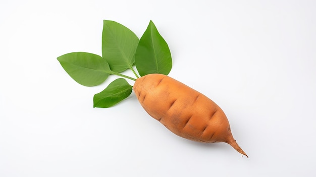 Sweet yam potato with leaves on the white wall