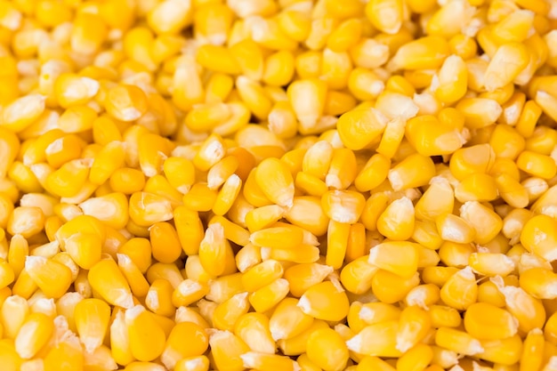 Sweet yellow buttered corn