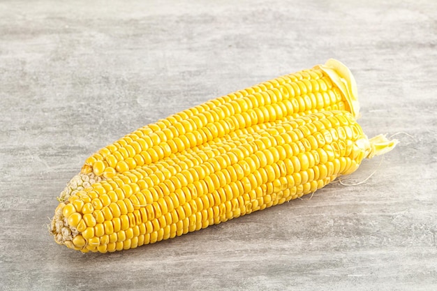 Sweet yellow raw ripe corn cob