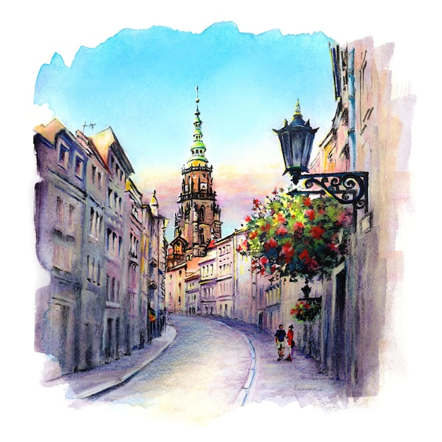 Swidnica straat en kathedraal Polen