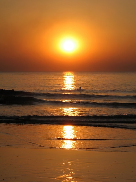 Swim at sunset