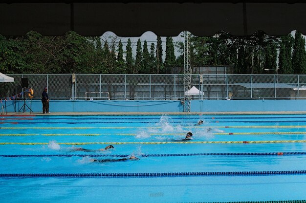 Swimming pool against trees