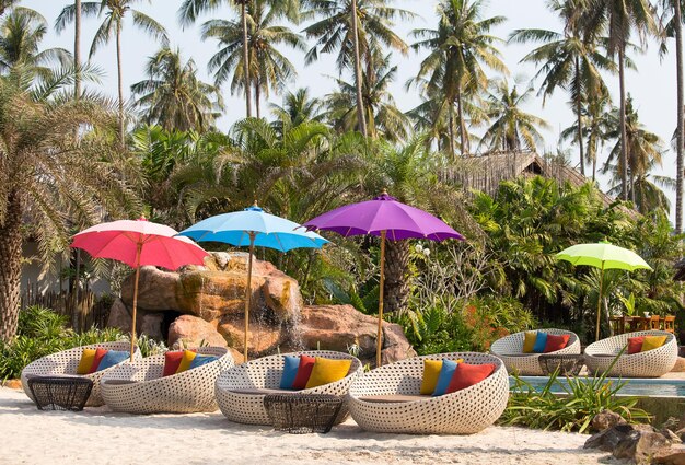 Swimming pool and beach chairs in a tropical garden Thailand