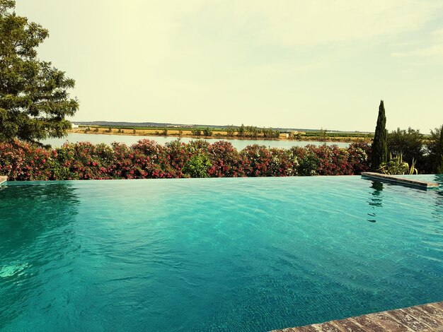 Photo swimming pool by trees against sky