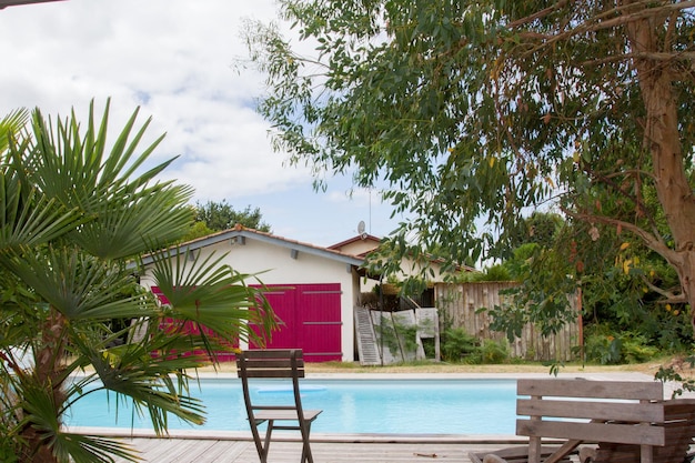 Swimming pool and lush vegetation