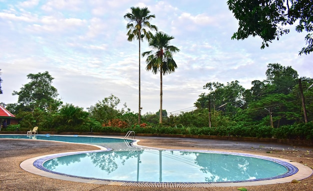 Swimming pool in the middle of nature and forest