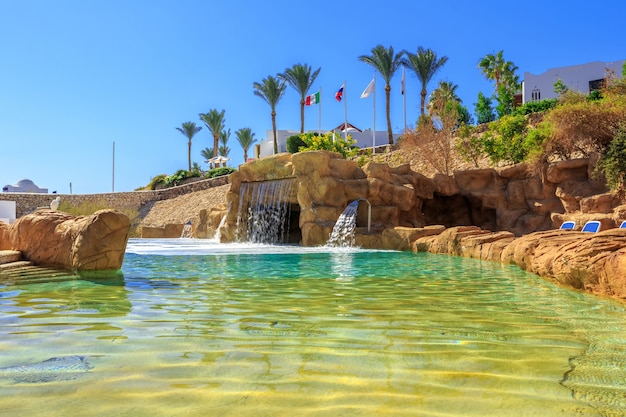 Swimming pool and palm trees in Egypt