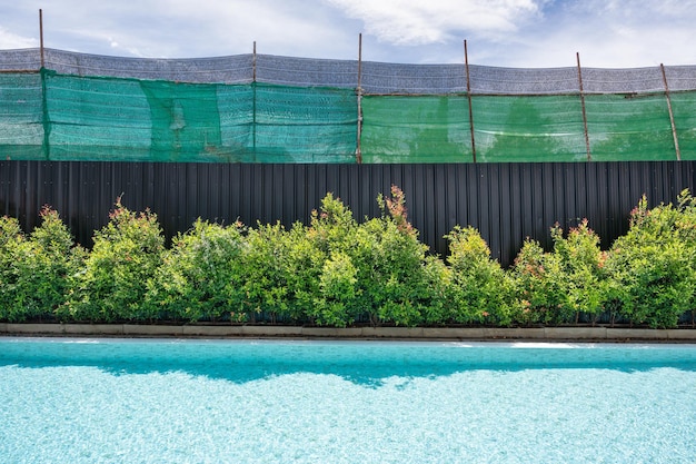 Swimming pool with the garden tree by metal wall