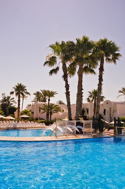 Swimming pool with palm trees