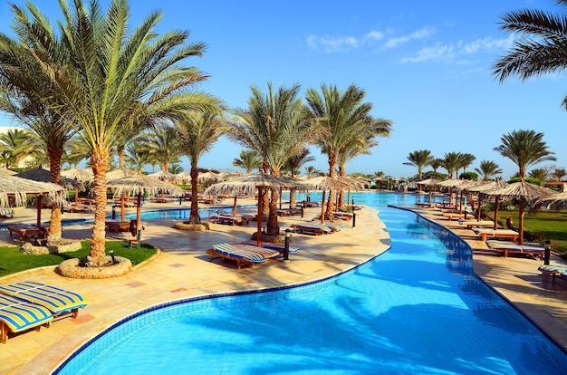 Swimming pool with palm trees