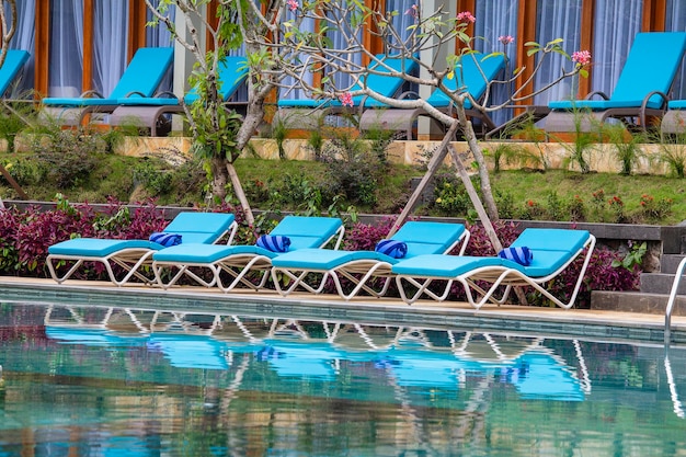 열대 정원에 편안한 일광욕용 침대가 있는 수영장