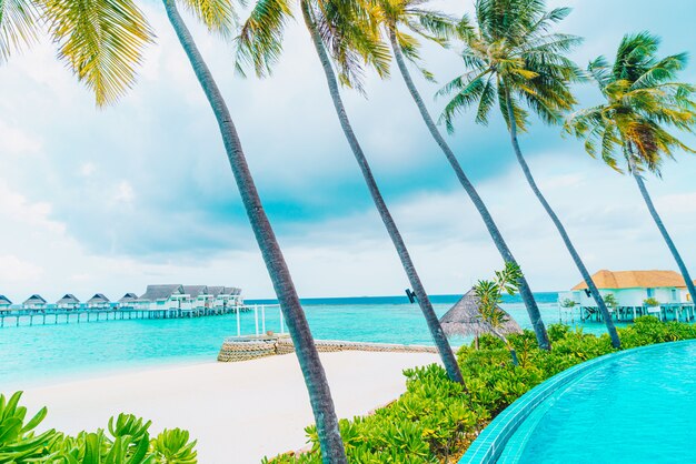 Piscina con spiaggia del mare alle maldive