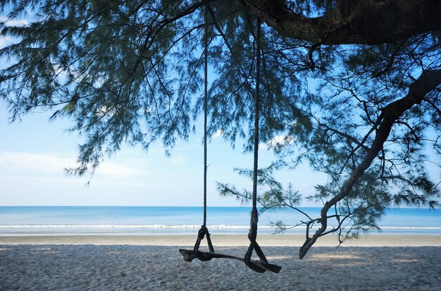 Swing on the beach