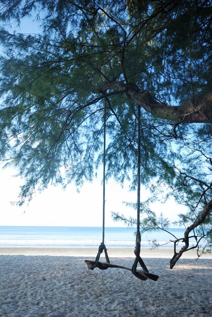 Swing on the beach