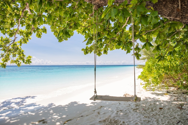 Photo swing on beautiful crystal clear sea and white sand beach at tachai island, andaman, thailand