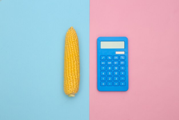 Swing of corn and calculator on pink blue background. Flat lay composition.