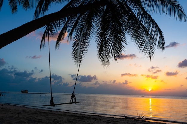 A swing hangs on a palm tree on a tropical sandy beach by the ocean