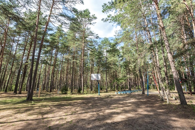 Качели и турники на детской площадке и баскетбольной площадке в сосновом лесу