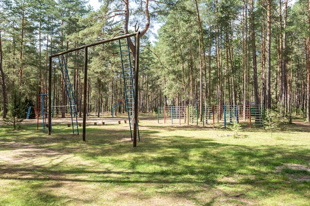 Swing and horizontal bars on playground in pine forest