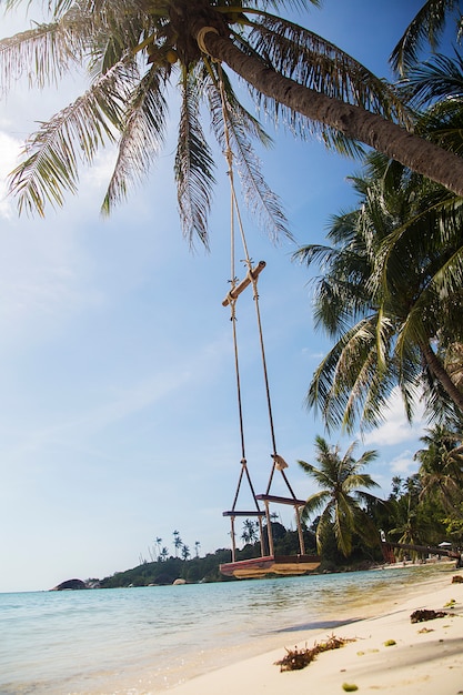 Swing in Ko Pha Ngan in Thailand