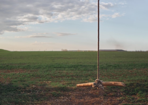Swing made of stick and rope in the center of the green field\
during summer time