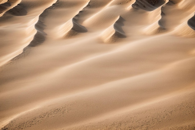 Swirling patterns of sand shaped by the wind