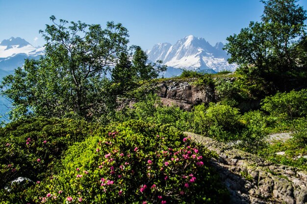 Photo swiss alps landscape