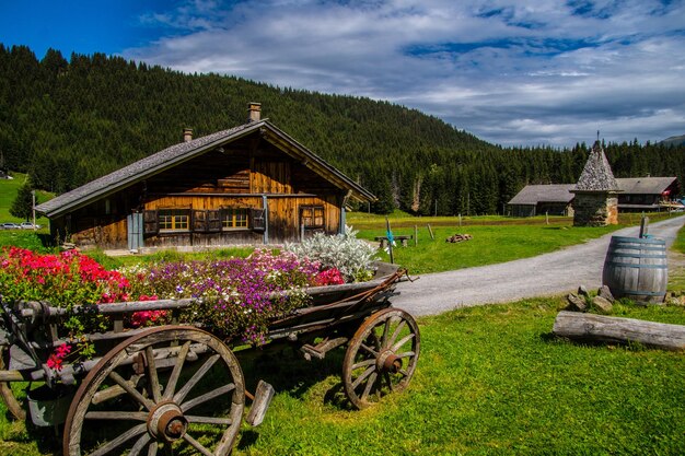 Swiss alps landscape