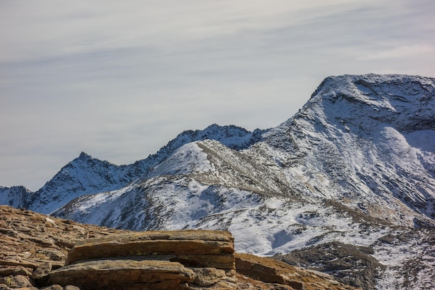 Photo the swiss alps