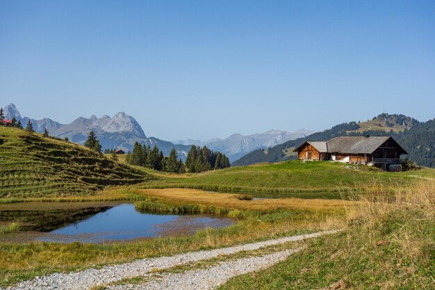 Swiss alps