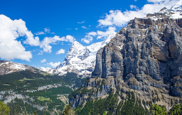 Swiss Alps 