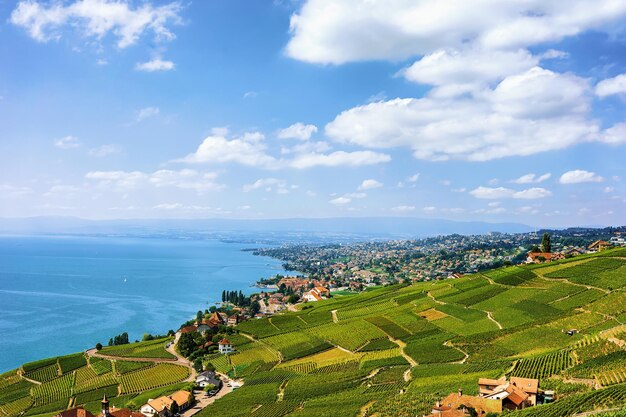 Швейцарские шале рядом с пешеходной тропой Lavaux Vineyard Terrace, Женевским озером и швейцарскими горами, район Лаво-Орон в Швейцарии