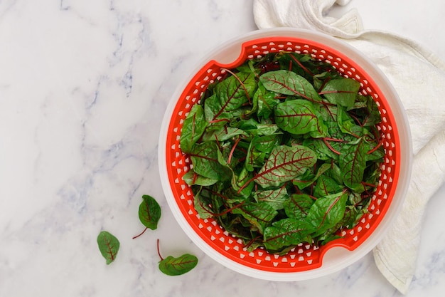 swiss chard leaves mangold