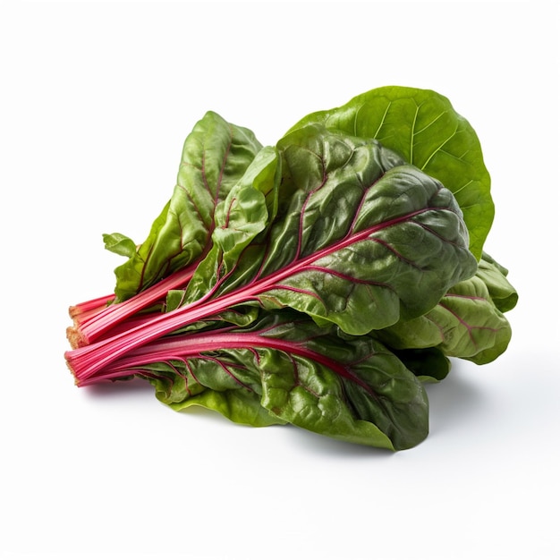 Swiss chard with white background high quality ultr