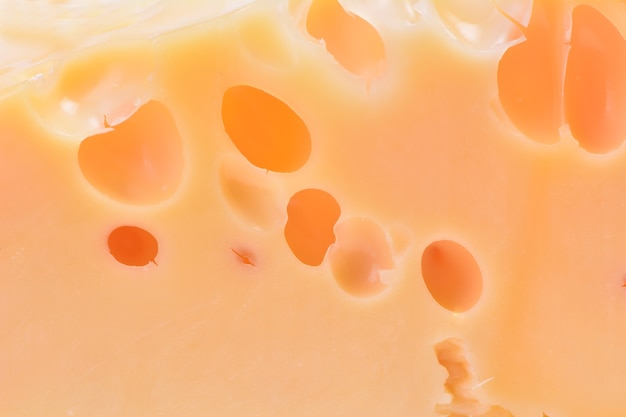 스위스 치즈
