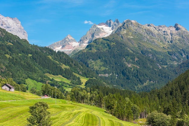 緑の土地の風景とスイスの山々