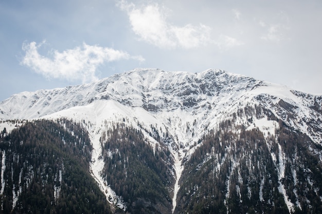 スイスの山々