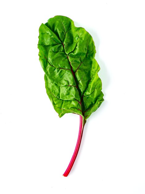 Photo swiss rainbow chard isolated on white