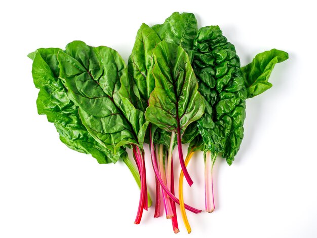 swiss rainbow chard isolated on white