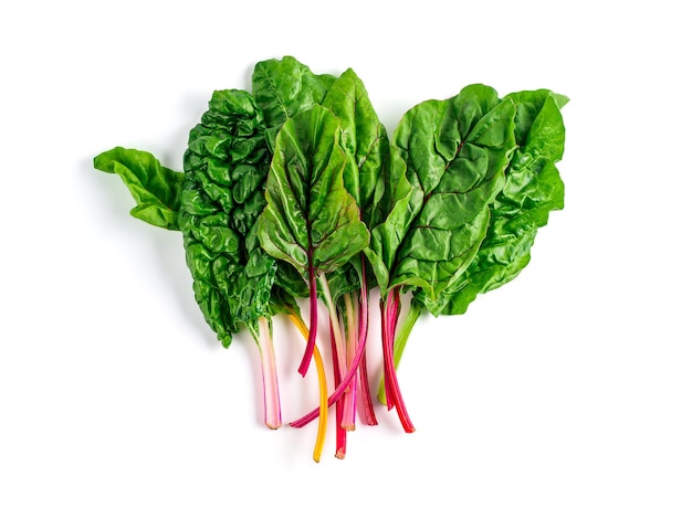 swiss rainbow chard isolated on white