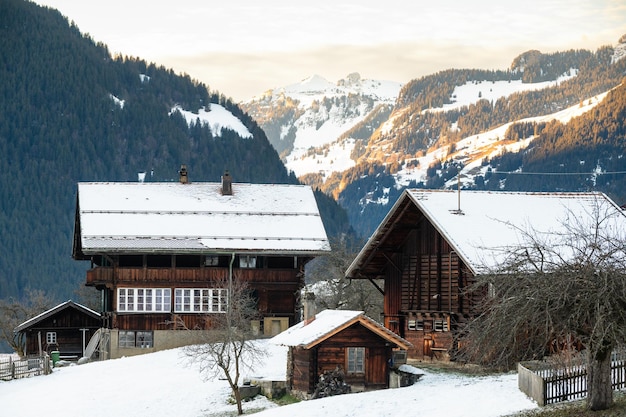 Switzerland Canton of Bern Grindelwald winter landscape with ski hut and Mittelhorn