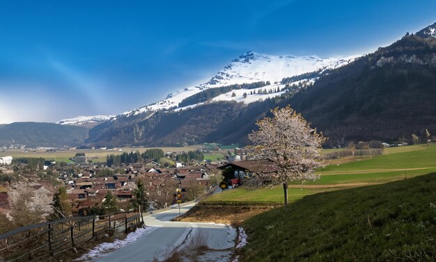 Switzerland new zealand winter village sideroad blossom mountain long view contrast color