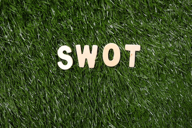 SWOT Wooden Sign On Grass