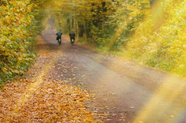 해질녘 가을 숲에서 자전거 타는 사람 주황색 단풍과 도로에 자전거 타는 사람