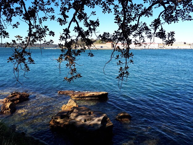 Sydney 21 August 2019 The clear water next to the seaside walkway with trees and coastal rocks
