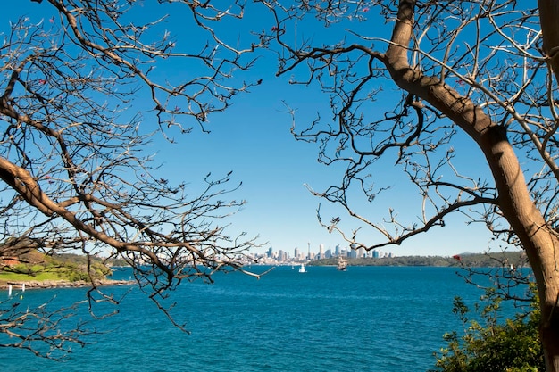 Sydney bay view from