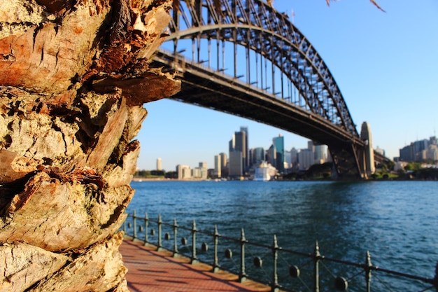 Foto il ponte del porto di sydney al tramonto