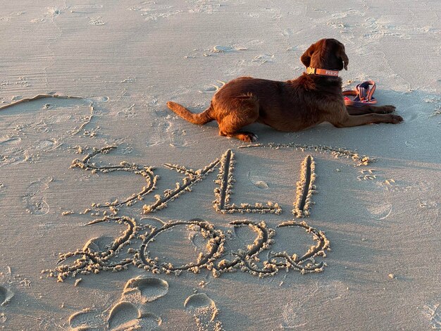 Foto sylt 2022 meest gezellige eiland