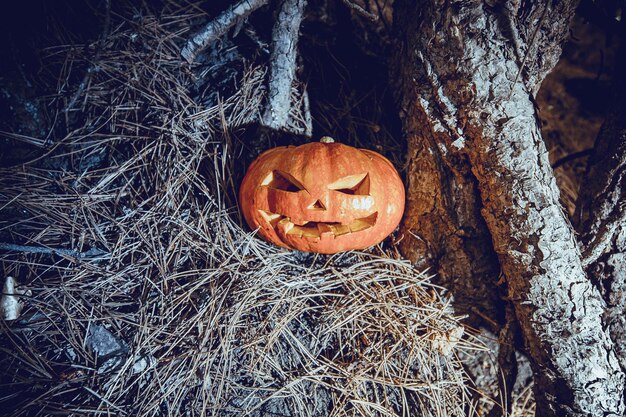 ハロウィーンのシンボル